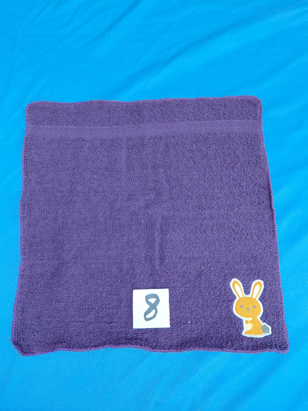 Sage Green Soccer Ball Embellished Washcloth
